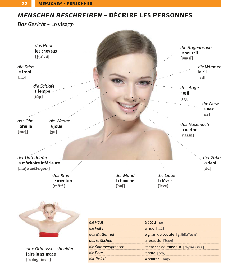PONS Bildwörterbuch Französisch PONS Bildwörterbuch Französisch