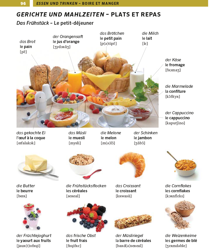 PONS Bildwörterbuch Französisch PONS Bildwörterbuch Französisch