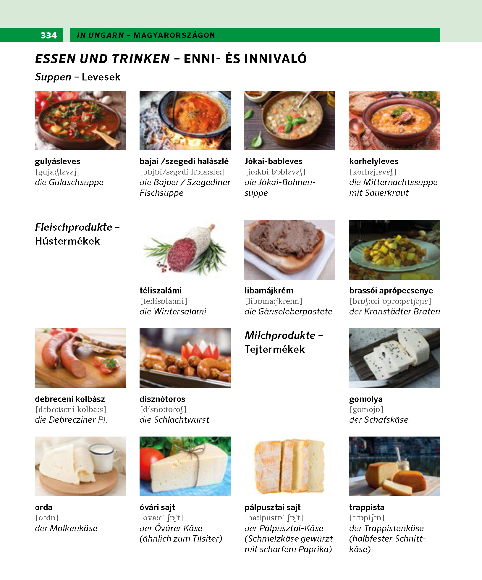 PONS Bildwörterbuch Ungarisch