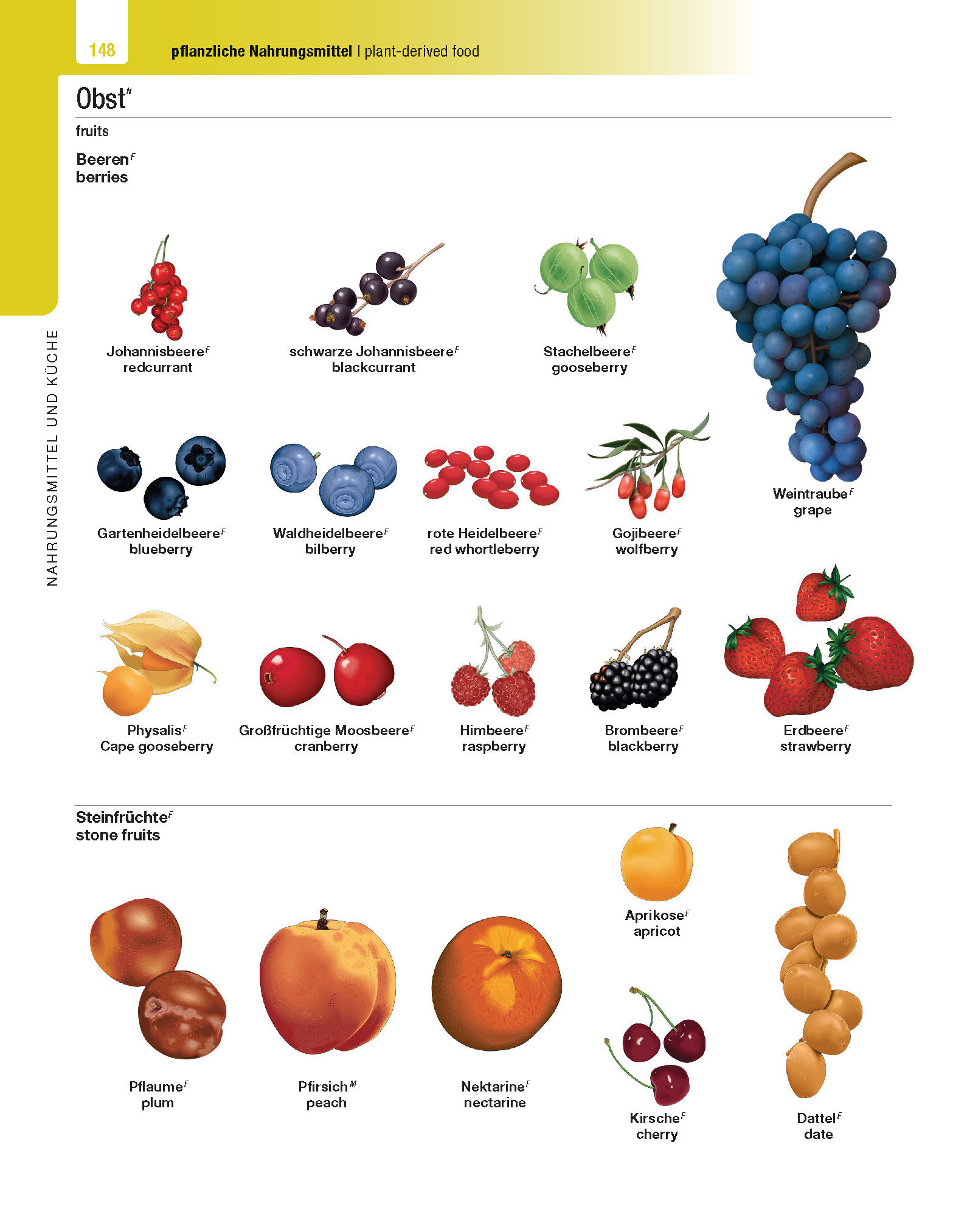 Langenscheidt Illustriertes Wörterbuch Englisch Langenscheidt Illustriertes Wörterbuch Englisch