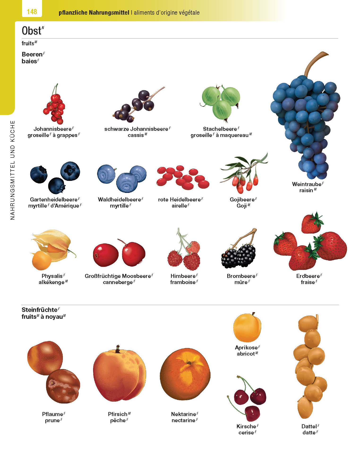 Langenscheidt Illustriertes Wörterbuch Französisch Langenscheidt Illustriertes Wörterbuch Französisch