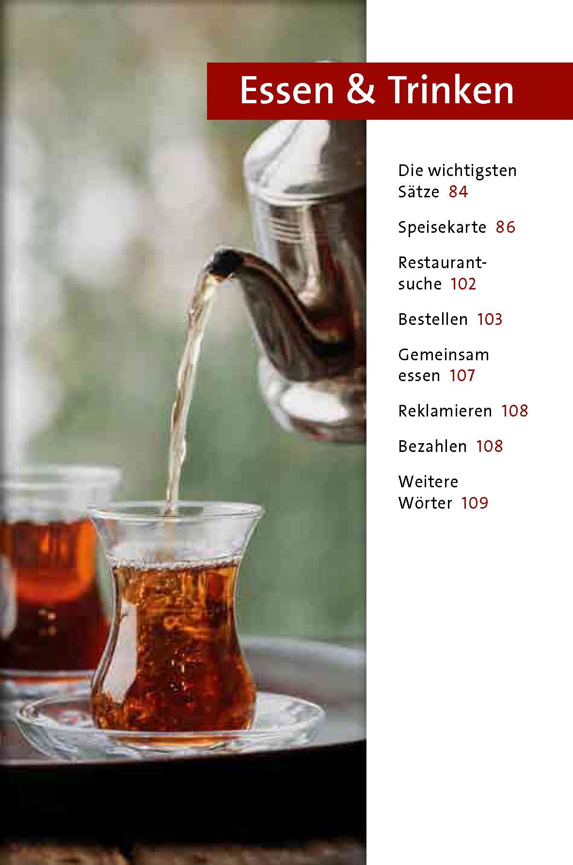 Langenscheidt Sprachführer Türkisch