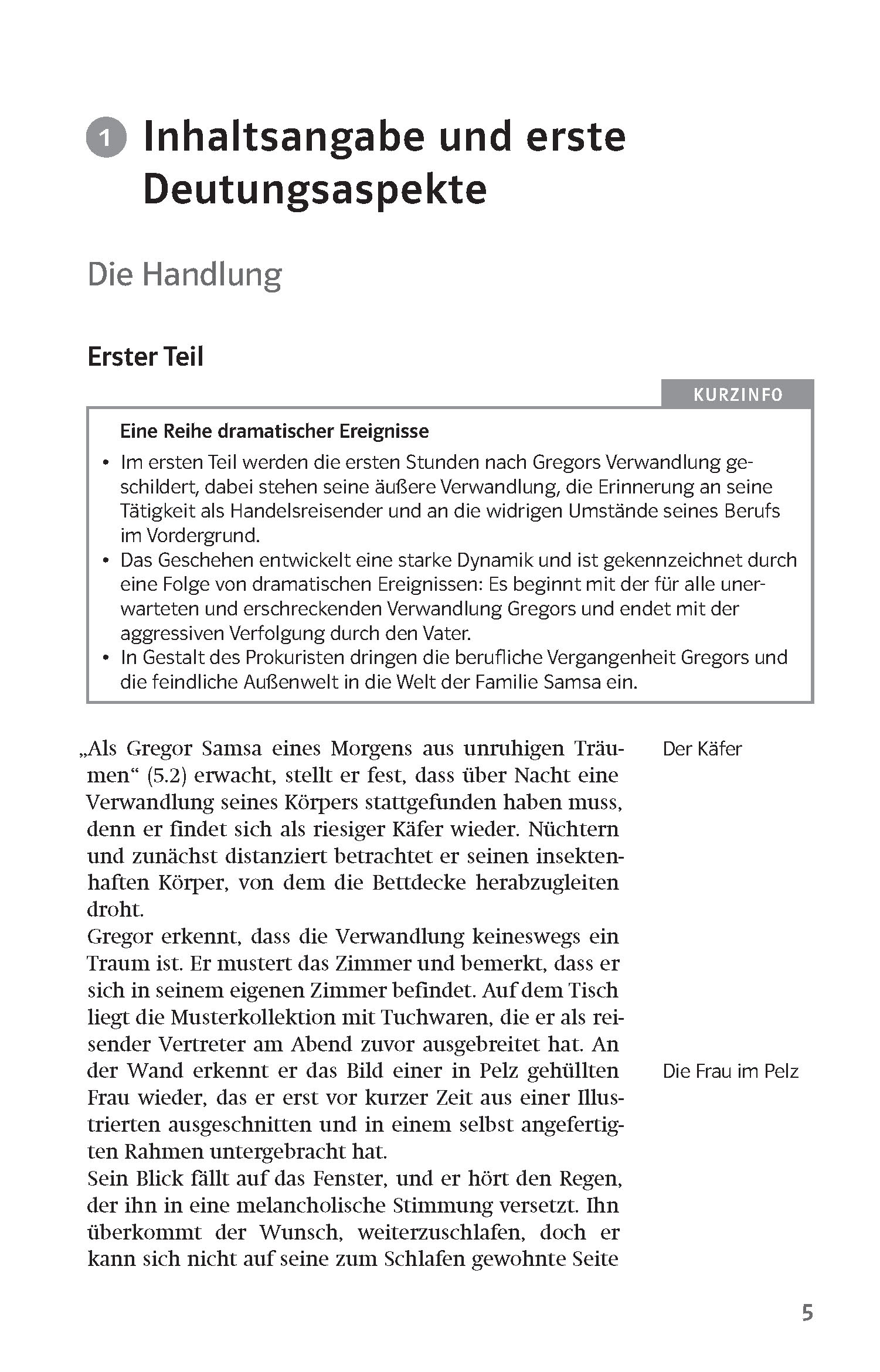 Klett Lektürehilfen Franz Kafka, Die Verwandlung