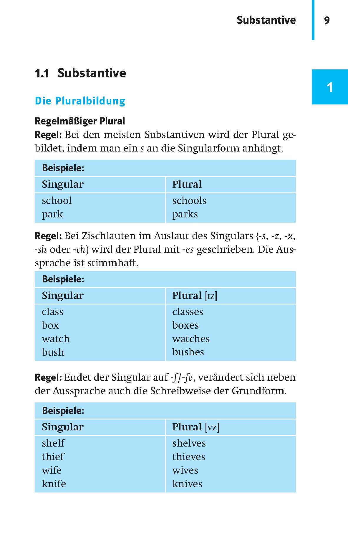 Eine Seite aus dem deutschen Grammatiklehrbuch erklärt die Regeln für die Bildung des Plurals von englischen Substantiven, einschließlich Tabellen mit Beispielen für Singular und Plural und Aussprachehinweisen.