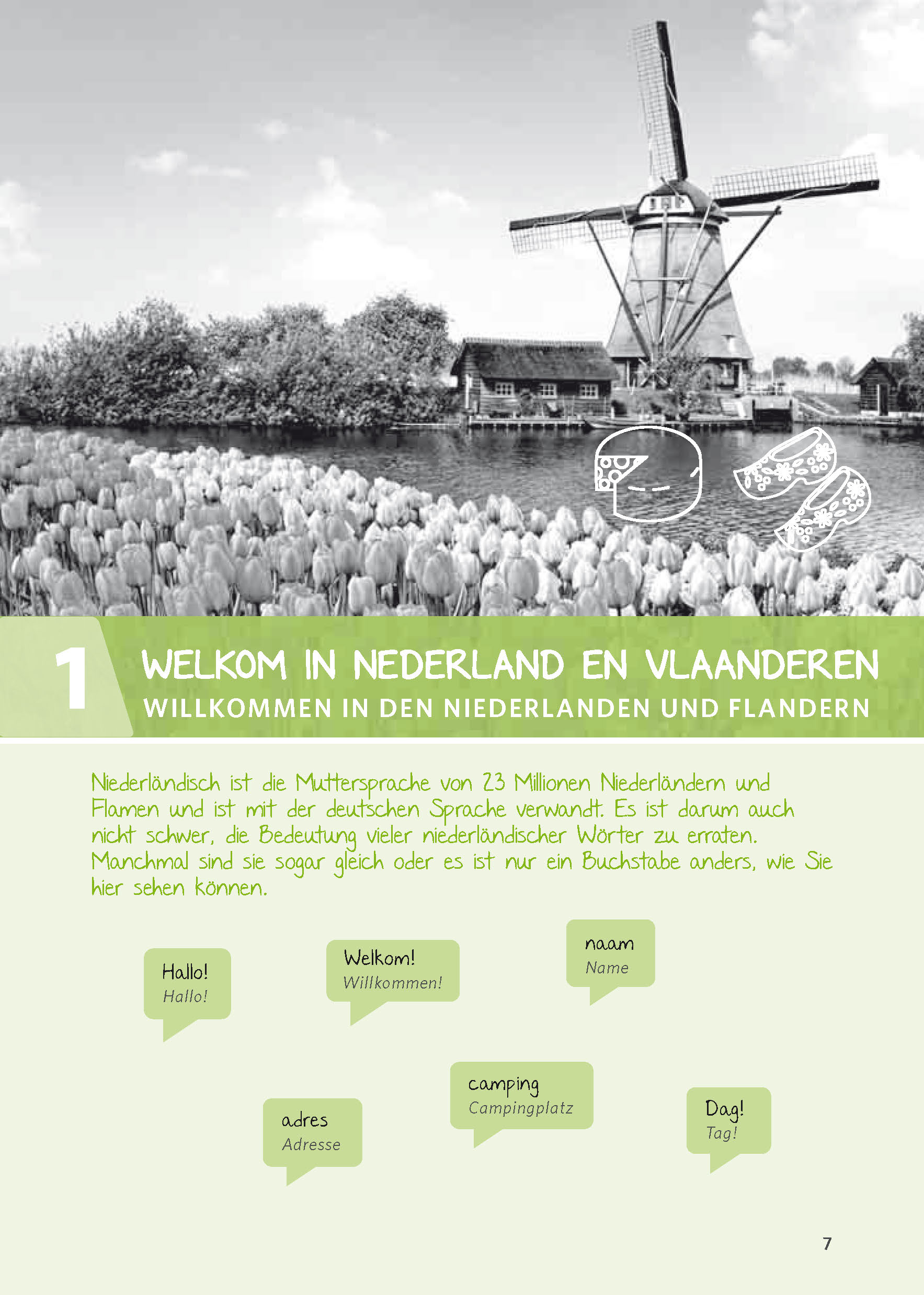 PONS Niederländisch leicht und locker