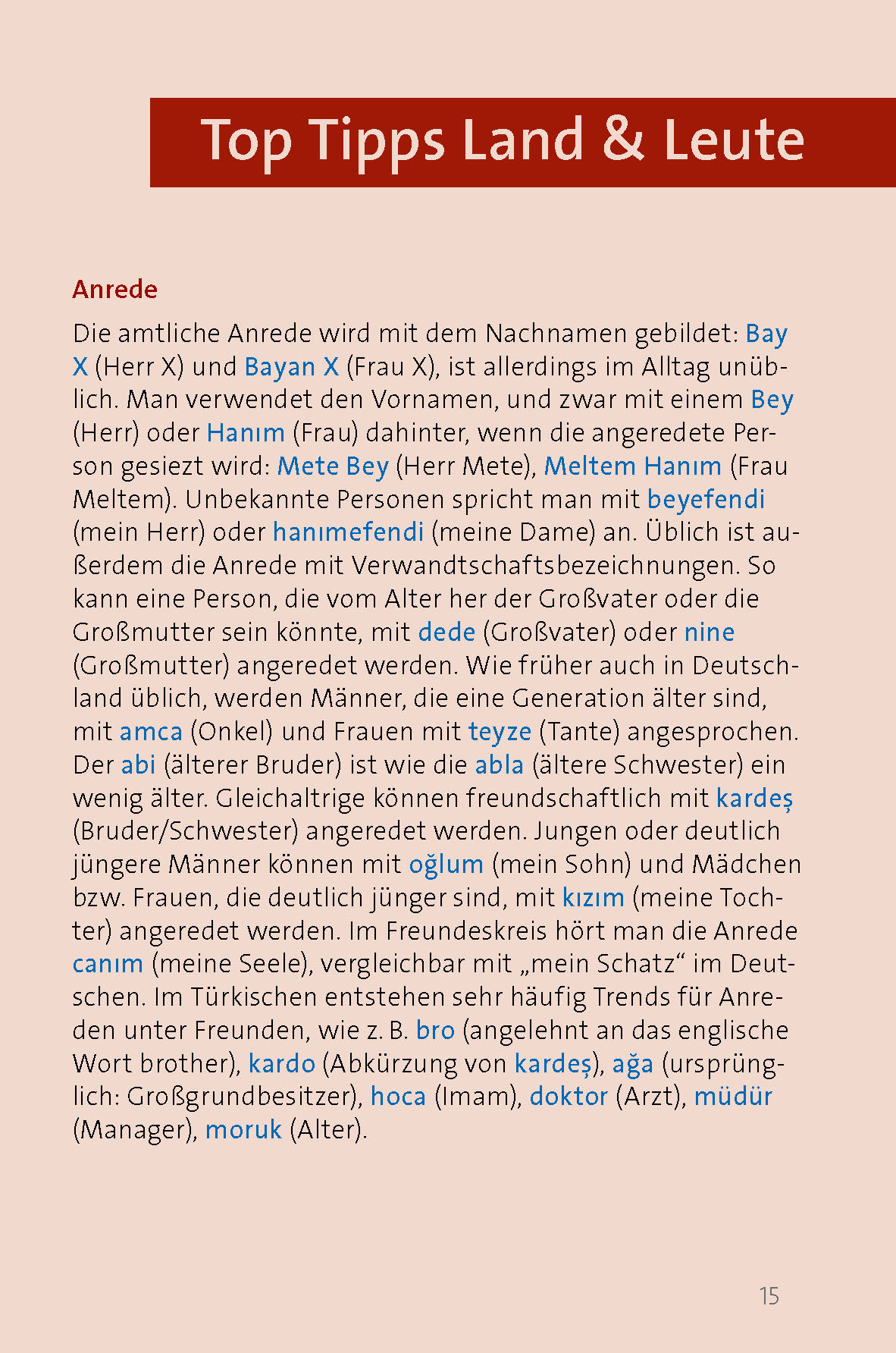 Langenscheidt Sprachführer Türkisch