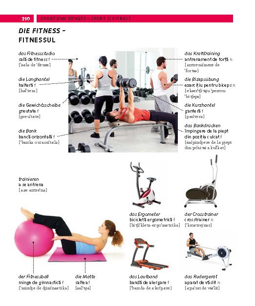 PONS Bildwörterbuch Rumänisch