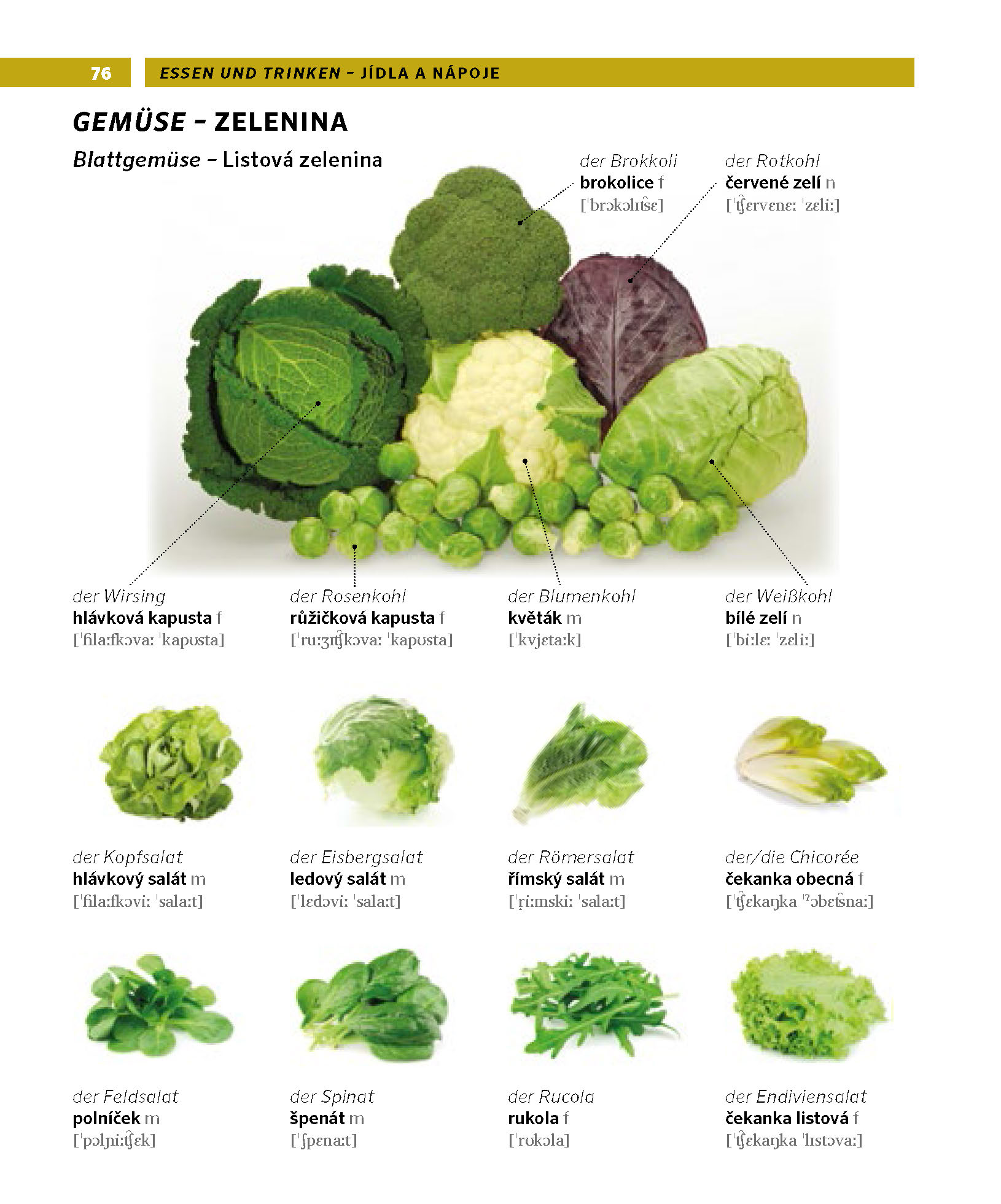 PONS Bildwörterbuch Tschechisch