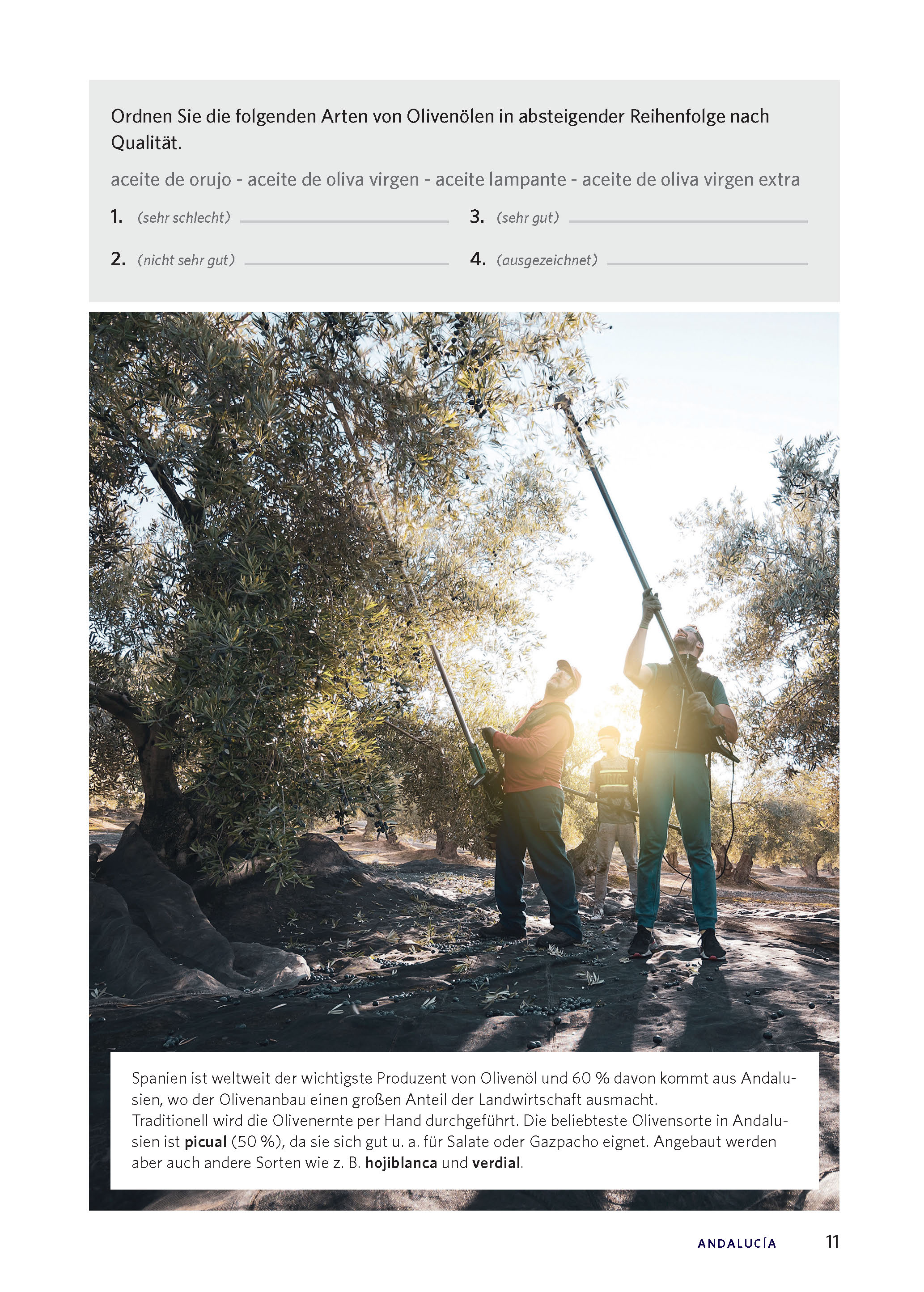 Langenscheidt Die kulinarische Sprachreise Spanisch