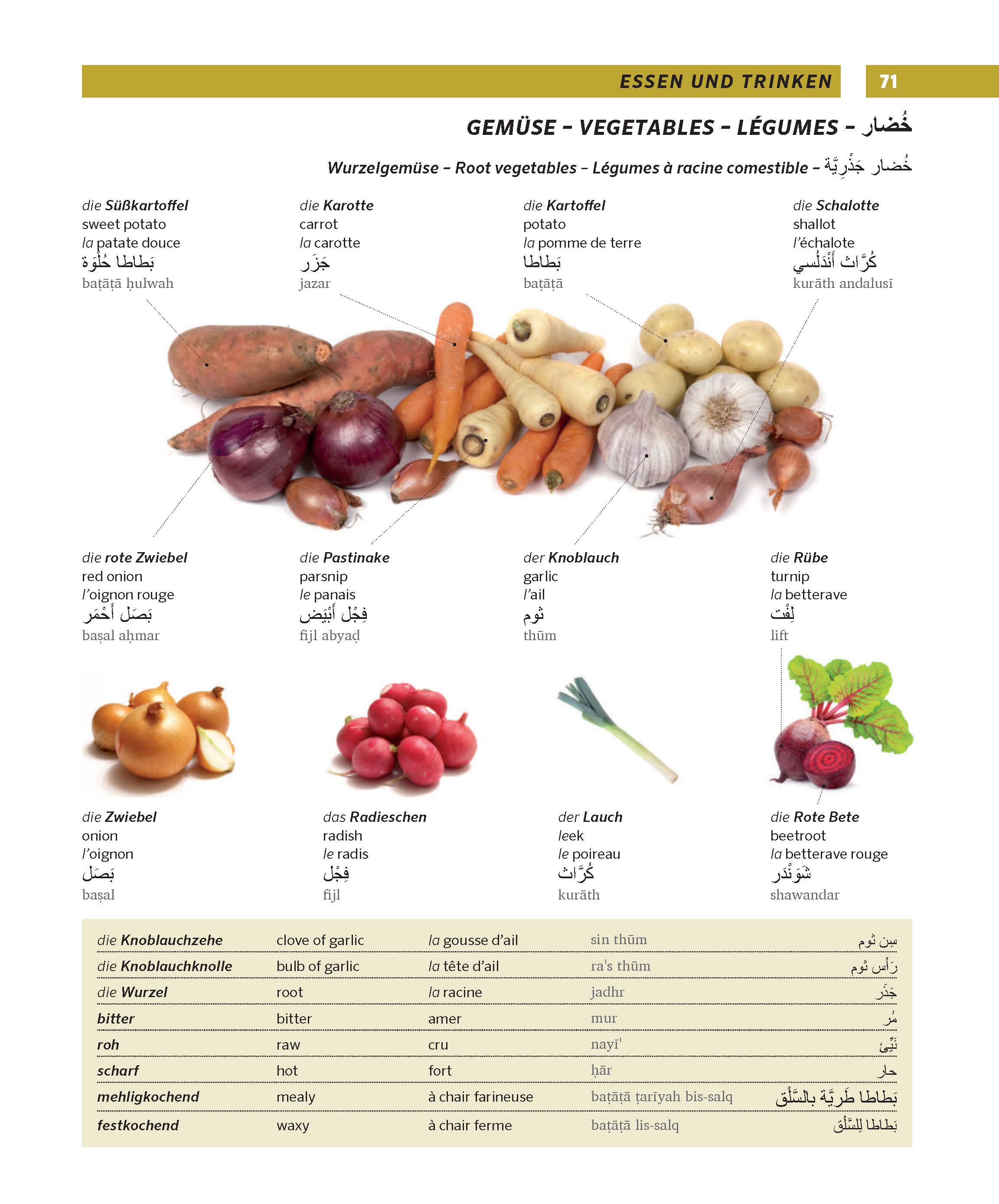PONS Großes Bildwörterbuch Arabisch - Deutsch + Englisch und Französisch PONS Großes Bildwörterbuch Arabisch - Deutsch + Englisch und Französisch