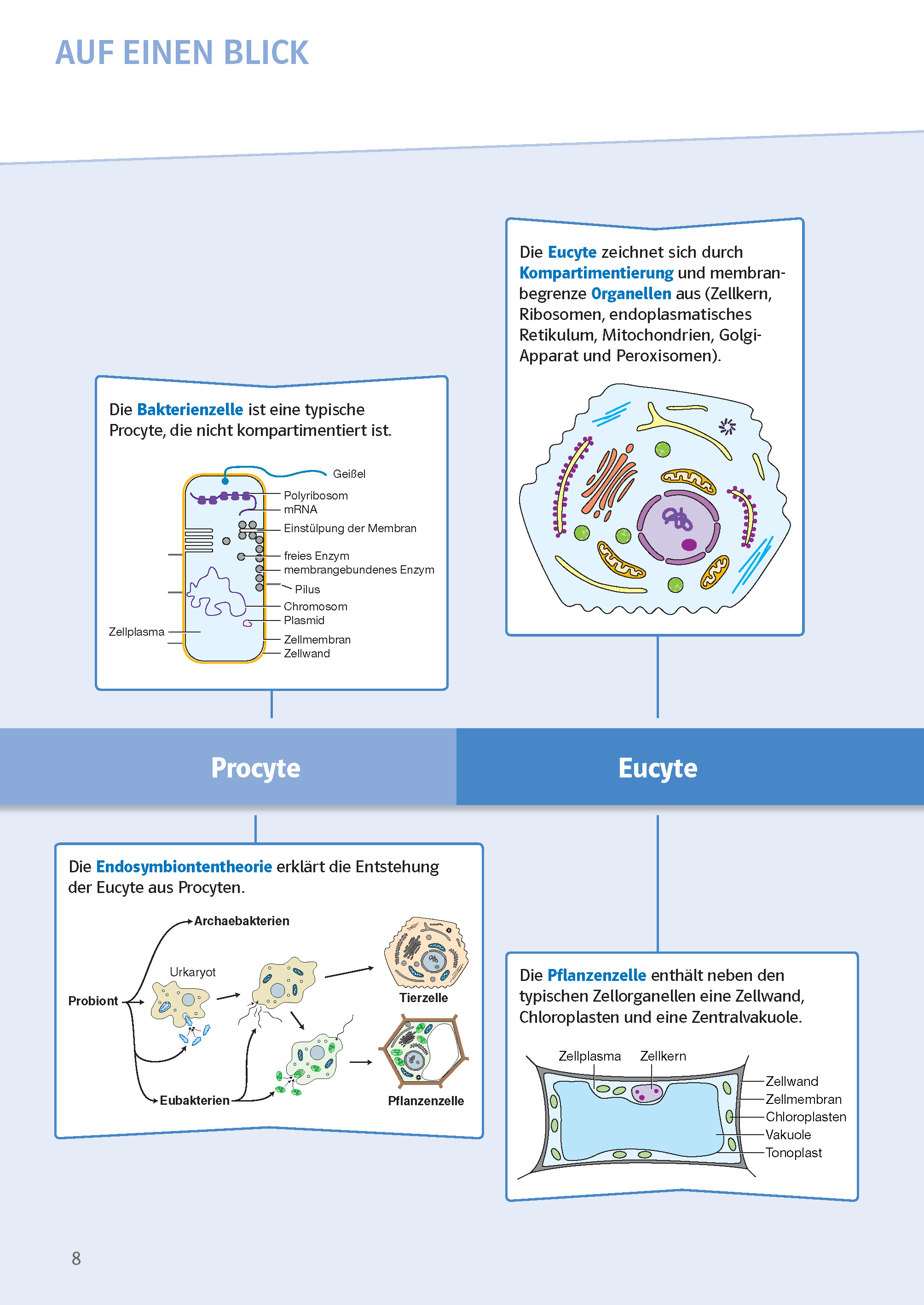 Klett Sicher im Abi Oberstufen-Wissen Biologie