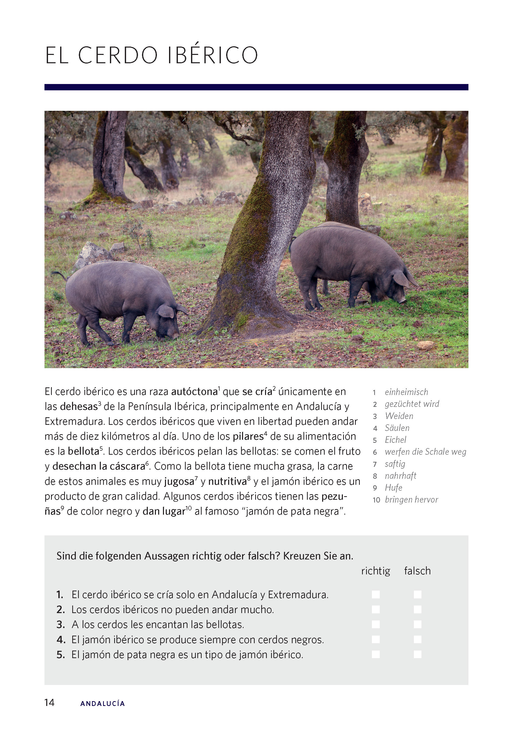 Langenscheidt Die kulinarische Sprachreise Spanisch