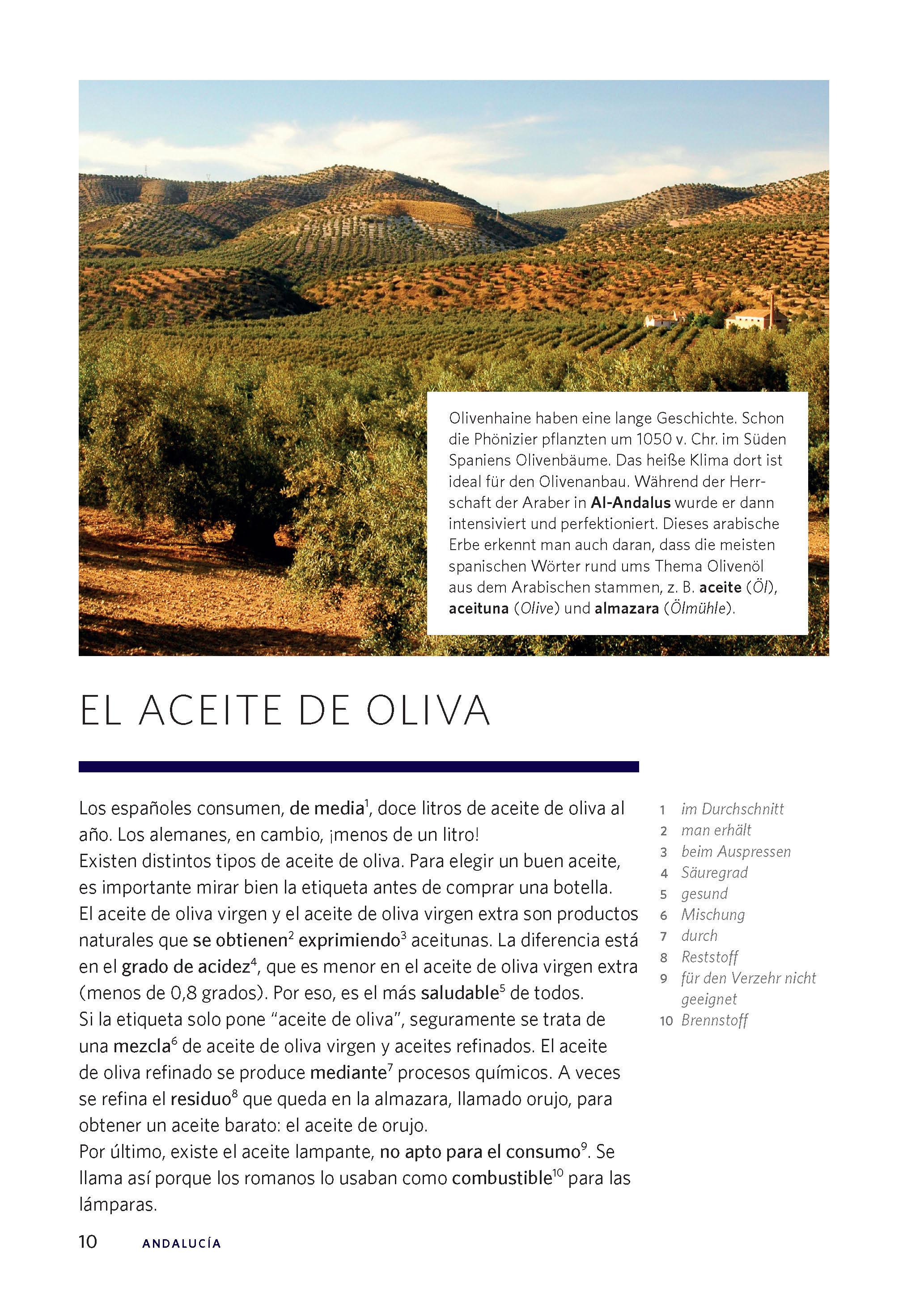 Langenscheidt Die kulinarische Sprachreise Spanisch