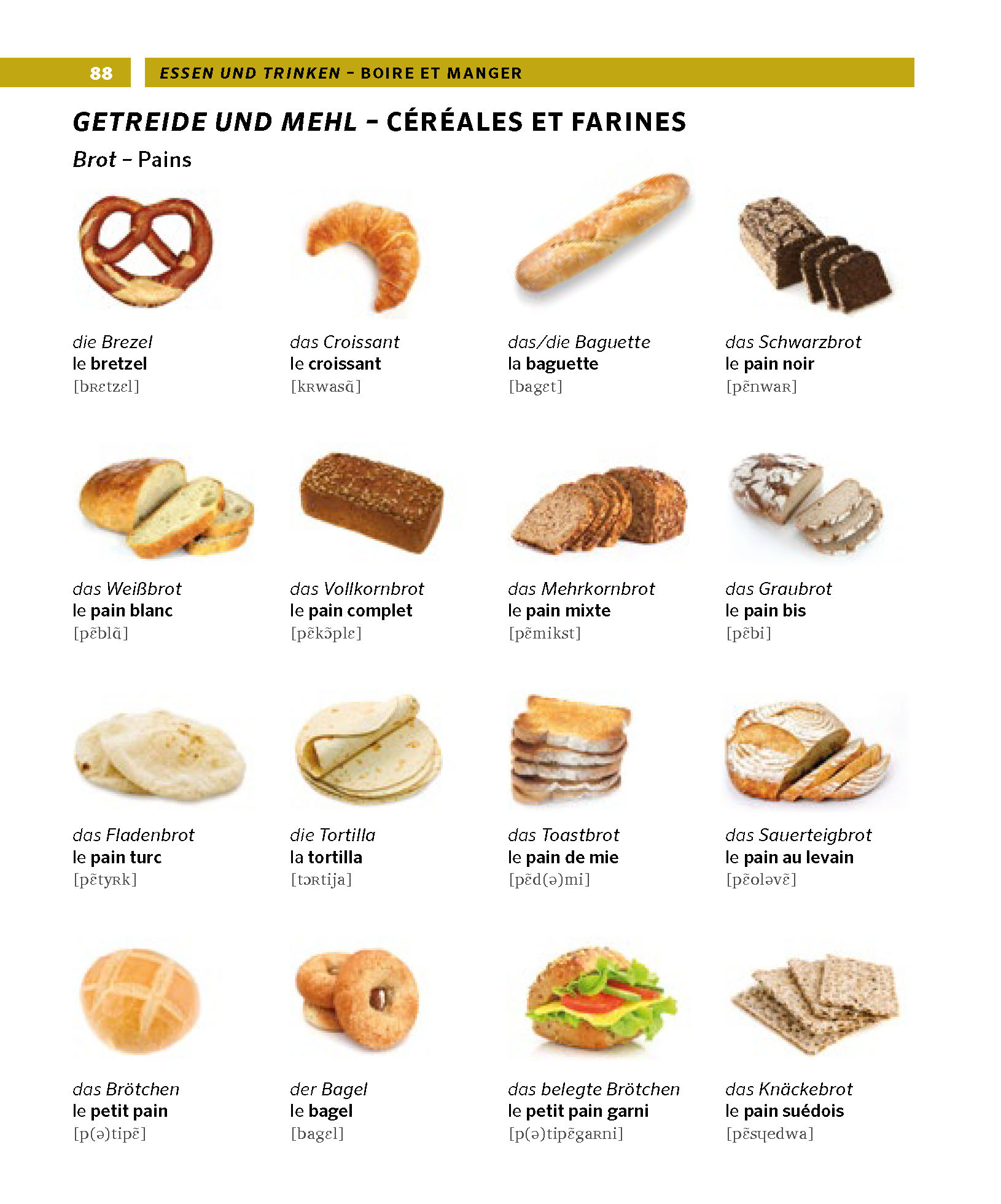 PONS Bildwörterbuch Französisch