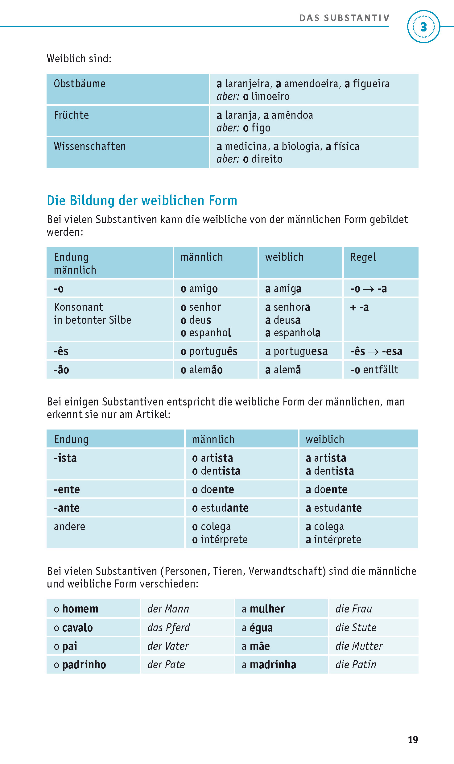 PONS Grammatik kurz & bündig Portugiesisch