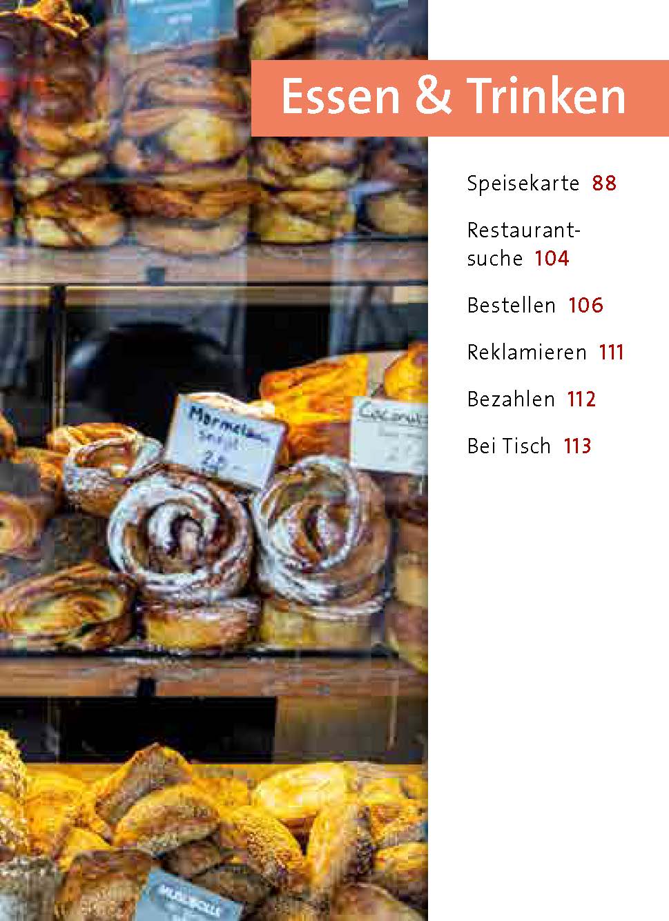 Langenscheidt Universal-Sprachführer Dänisch