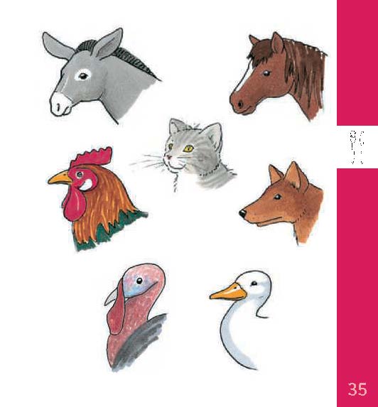 Langenscheidt OhneWörterBuch