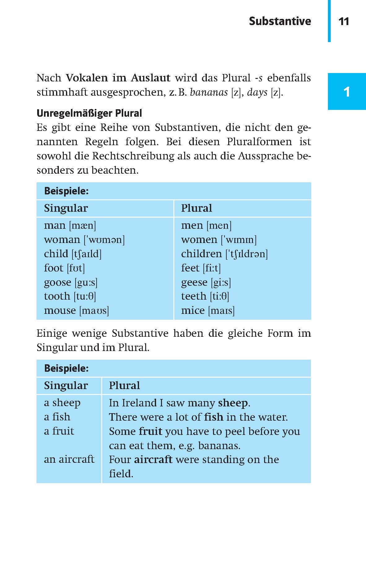 Eine deutsche Lehrbuchseite über unregelmäßige Plurale, mit Beispieltabellen in Deutsch und Englisch für Singular- und Pluralformen von Substantiven.