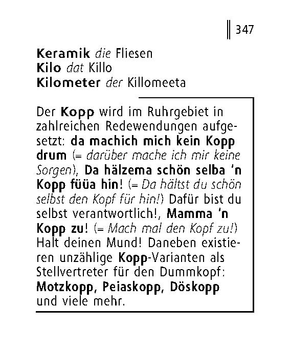 Langenscheidt Lilliput Ruhrpott