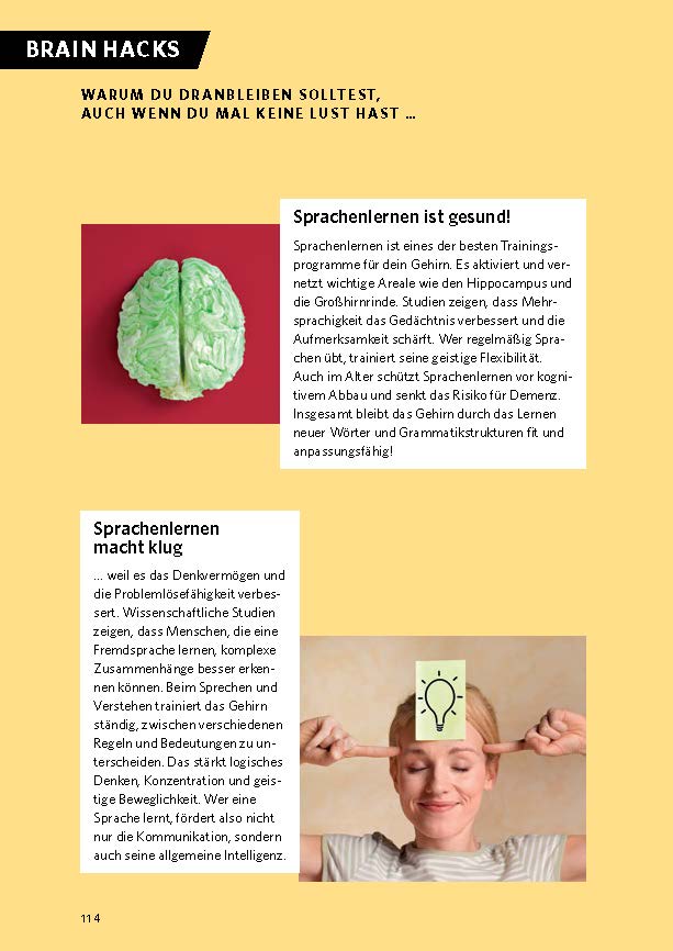 Langenscheidt Französisch lernen, wie dein Gehirn es mag