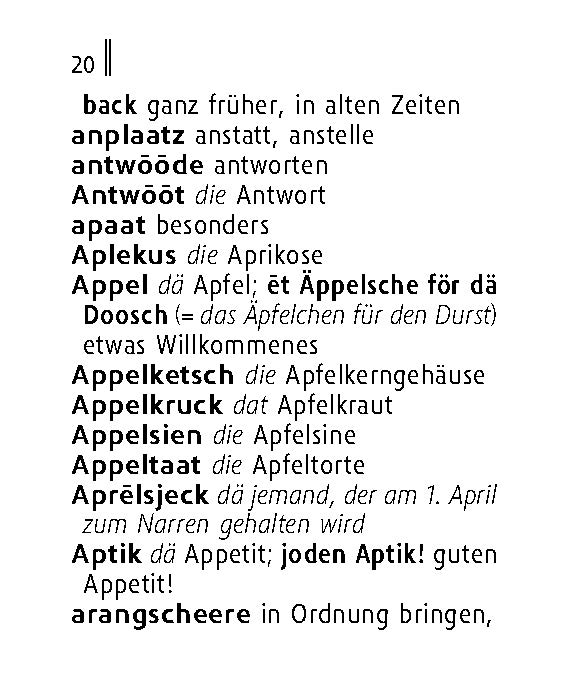 Langenscheidt Lilliput Kölsch