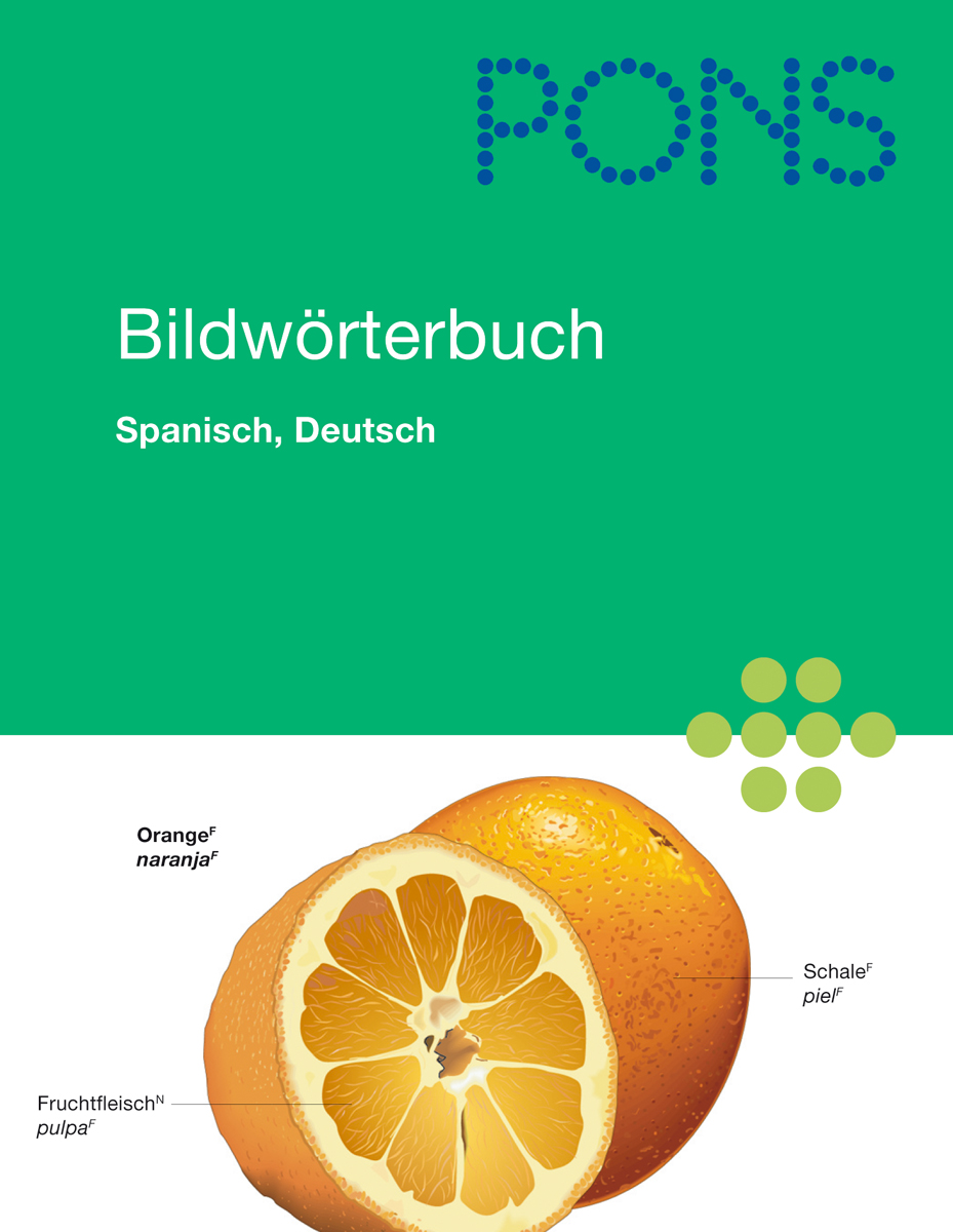 Umschlag eines spanisch-deutschen Bildwörterbuchs, das eine Orange mit beschrifteten Abschnitten zeigt: Schale, Fruchtfleisch und Orange.