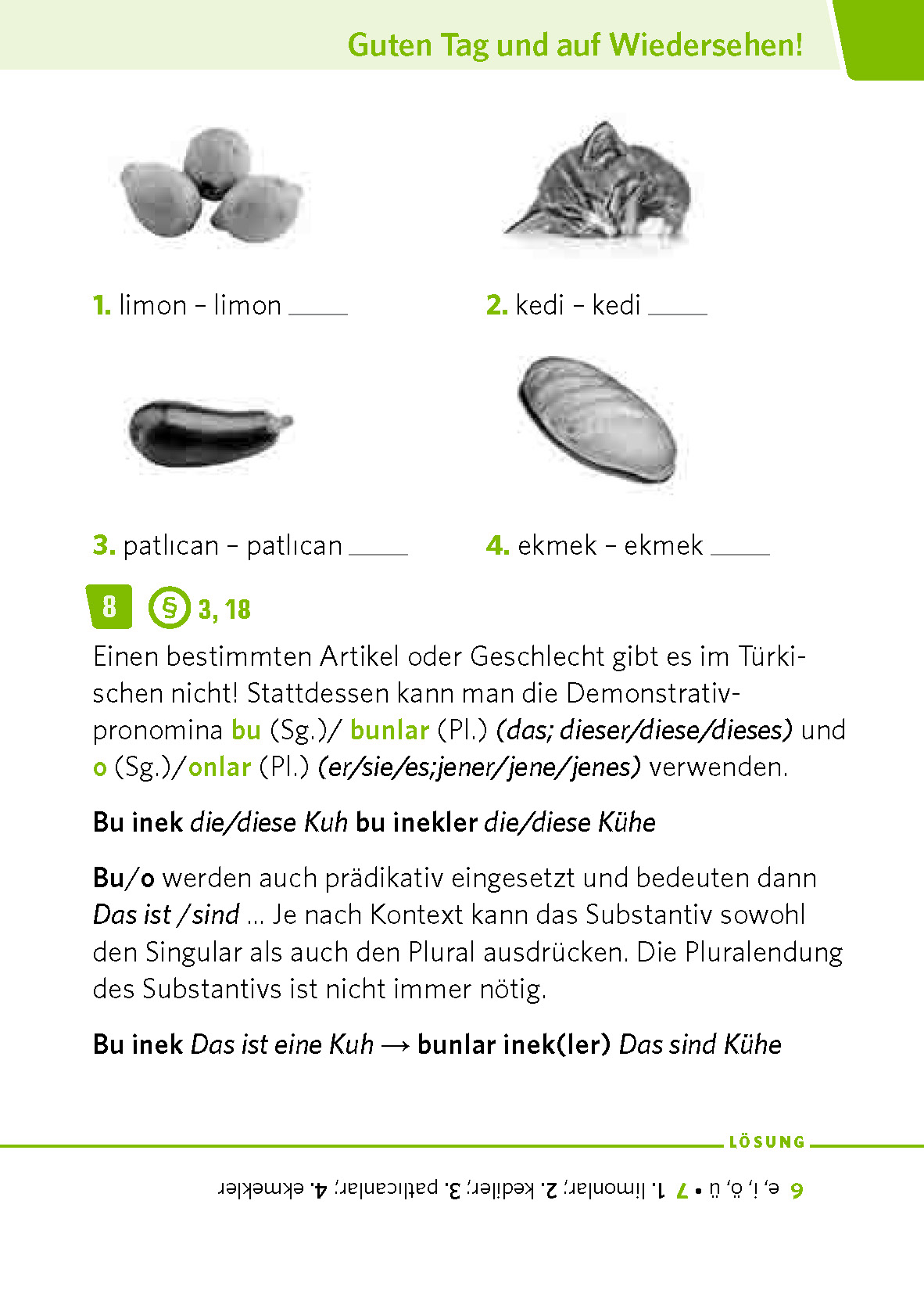 PONS Pocket-Sprachkurs Türkisch