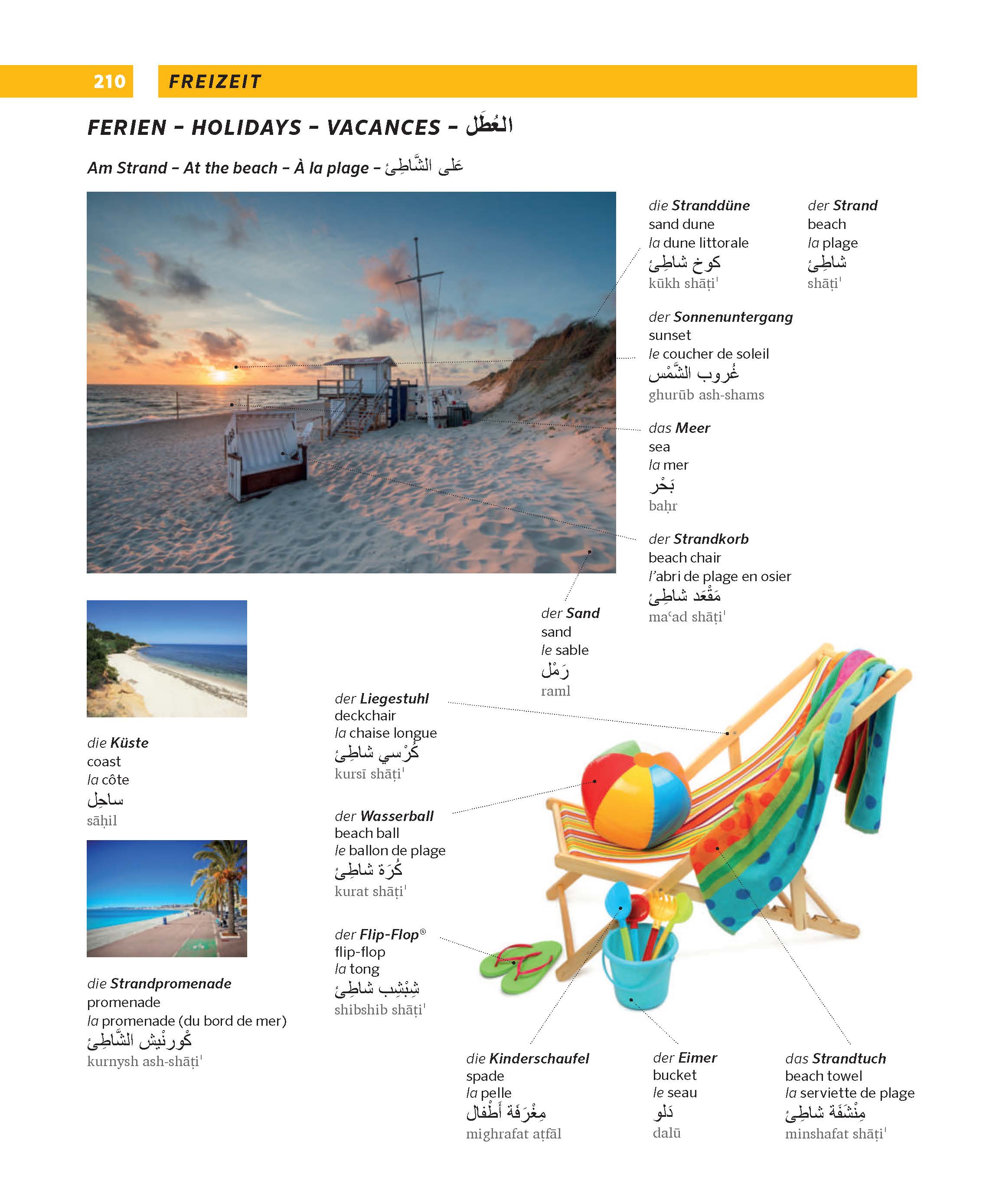 PONS Großes Bildwörterbuch Arabisch - Deutsch + Englisch und Französisch PONS Großes Bildwörterbuch Arabisch - Deutsch + Englisch und Französisch