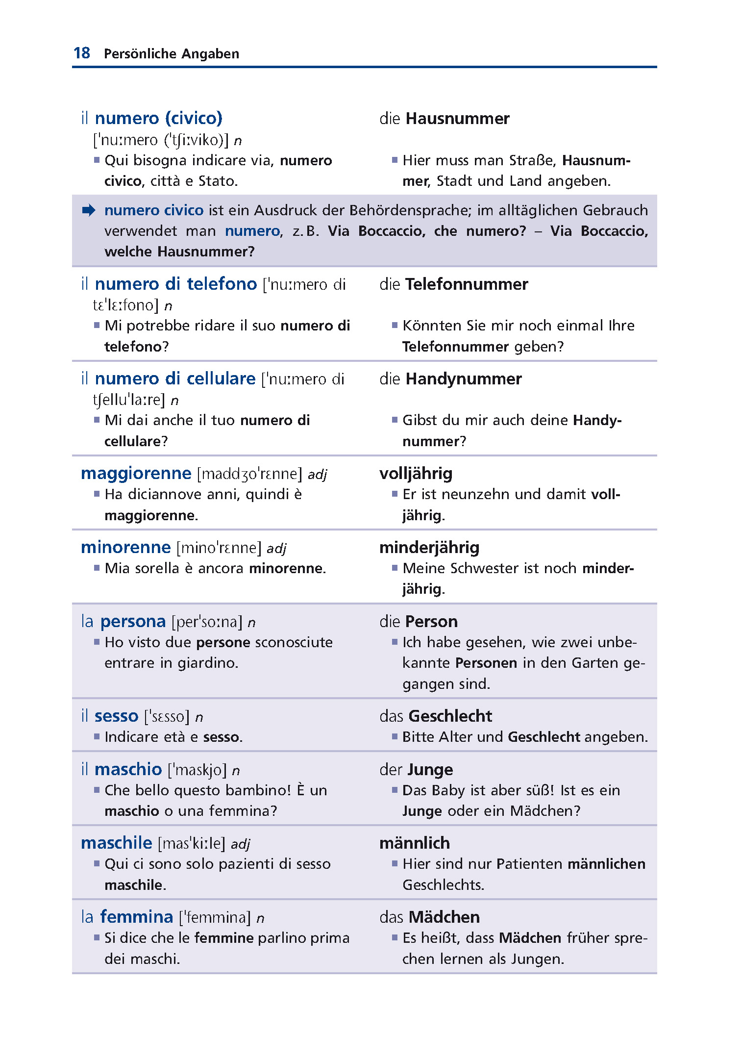 Langenscheidt Grund- und Aufbauwortschatz Italienisch Langenscheidt Grund- und Aufbauwortschatz Italienisch
