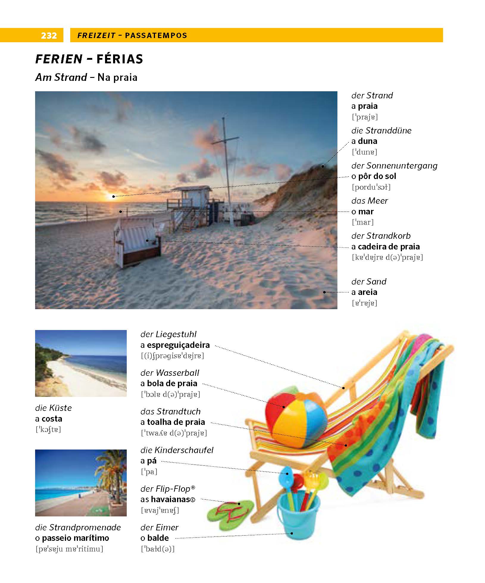 PONS Bildwörterbuch Portugiesisch