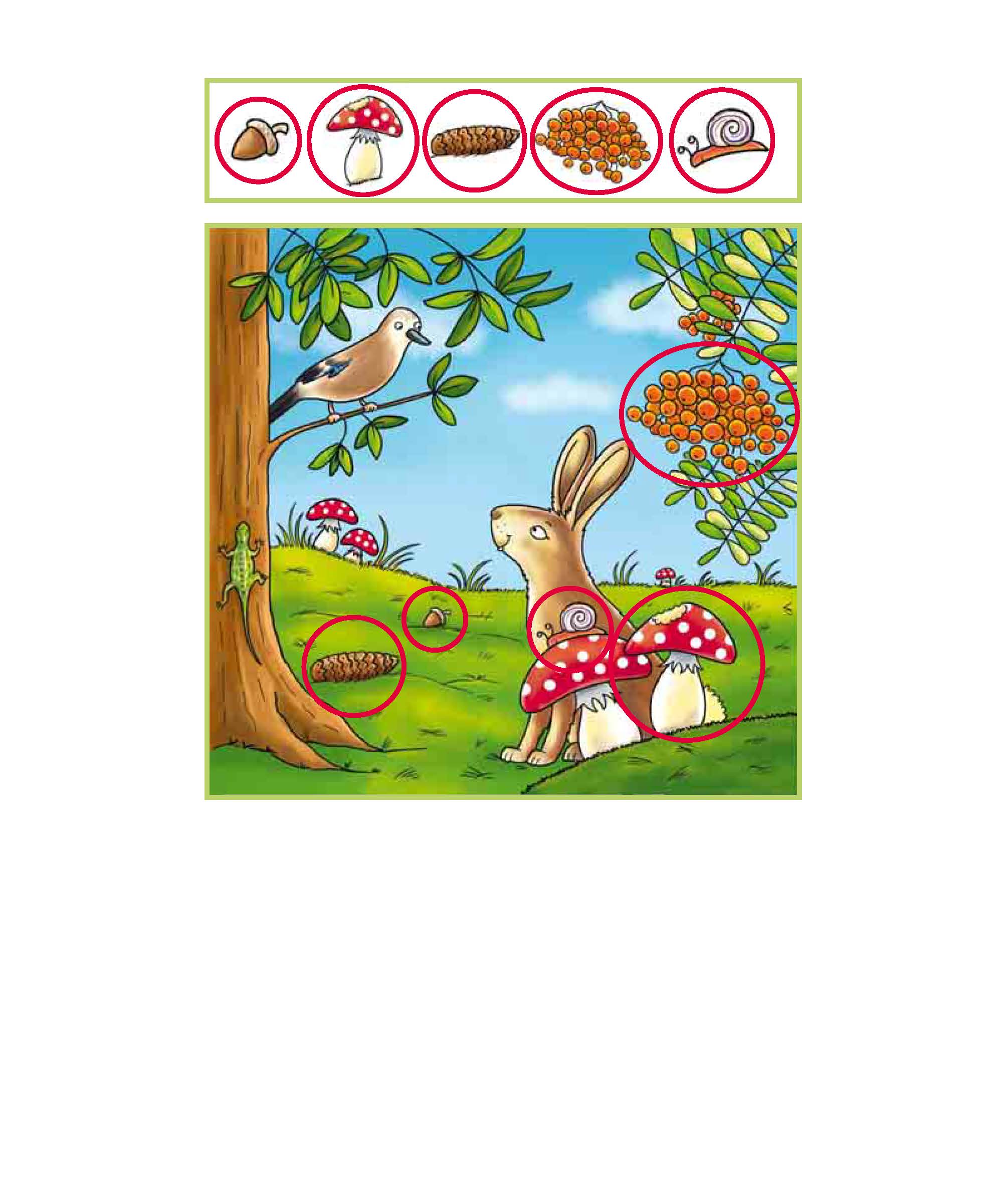 Illustration eines Kaninchens, eines Vogels und einer Schnecke auf einer Wiese mit eingekreisten Pilzen, Eicheln, Beeren und Tannenzapfen, die durch Symbole am oberen Bildrand gekennzeichnet sind.