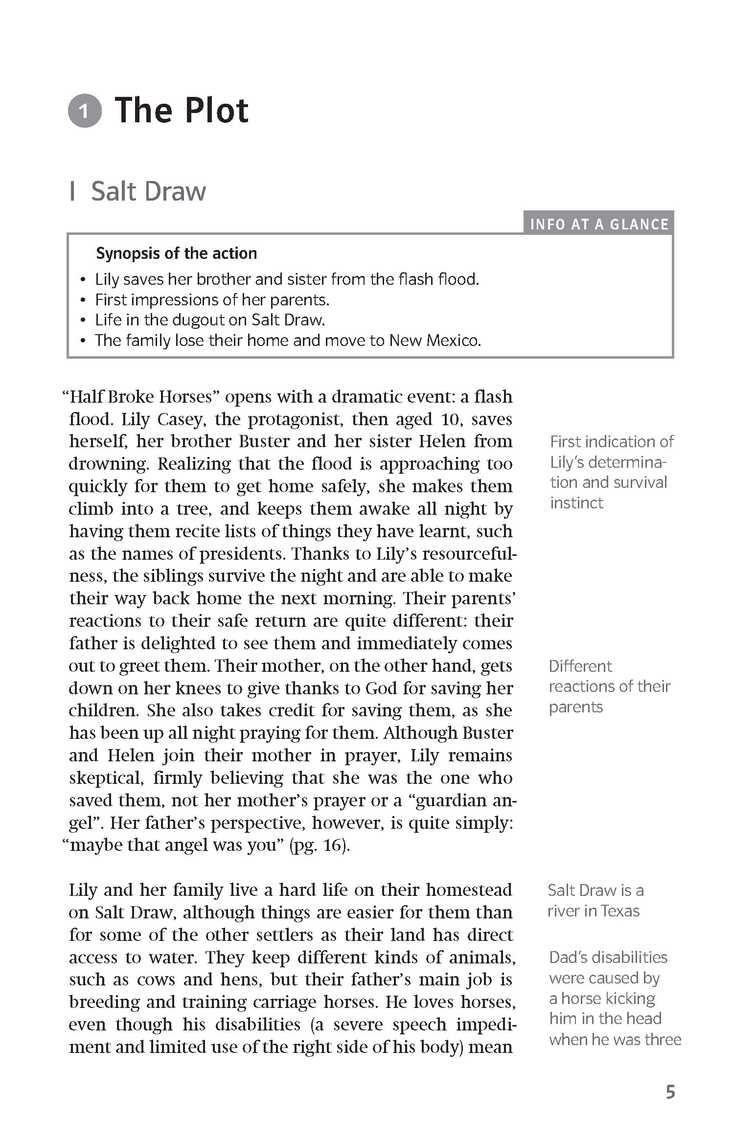 Klett Lektürehilfen Jeannette Walls, Half Broke Horses