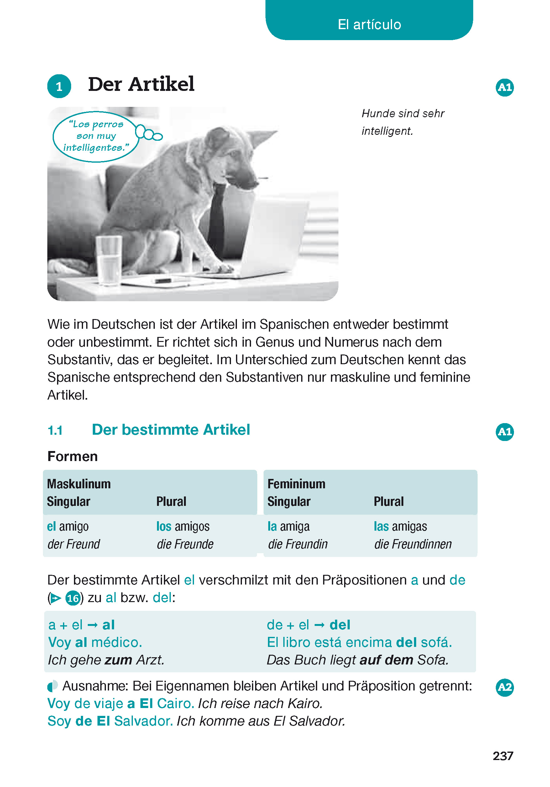 Langenscheidt Spanisch - alles drin Langenscheidt Spanisch - alles drin