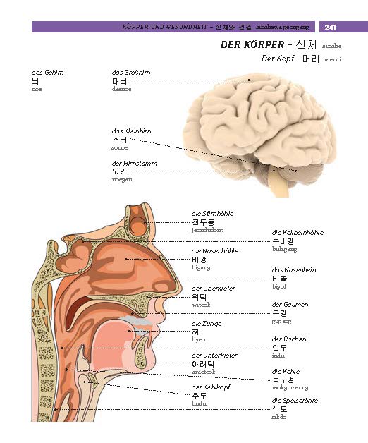 PONS Bildwörterbuch Koreanisch