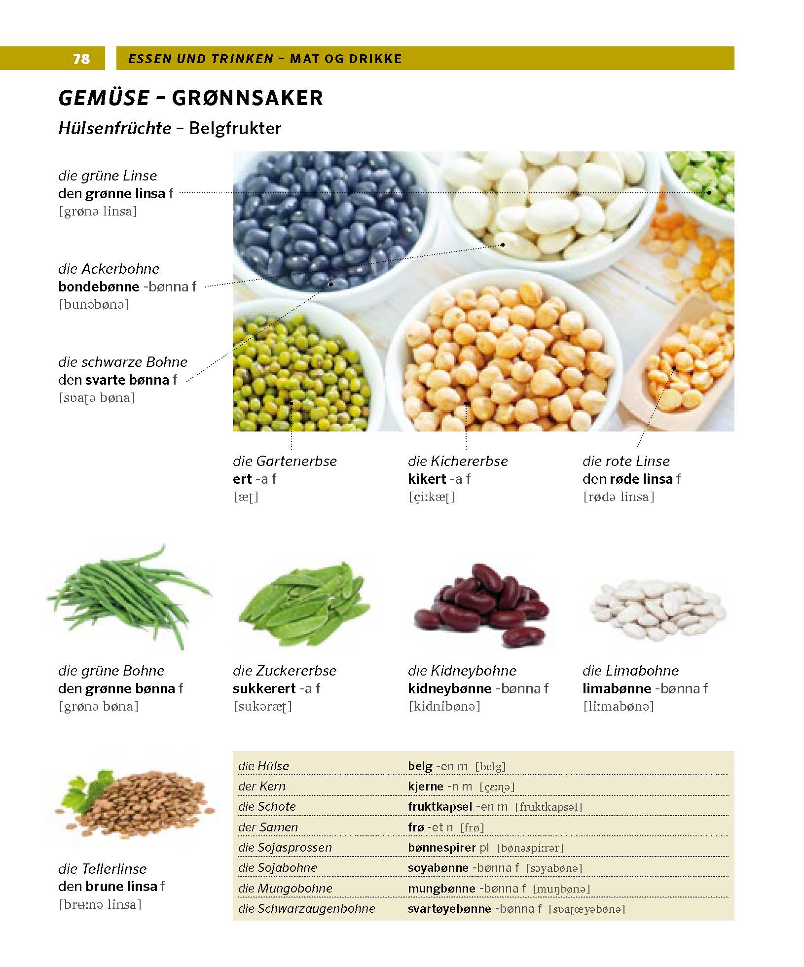 PONS Bildwörterbuch Norwegisch