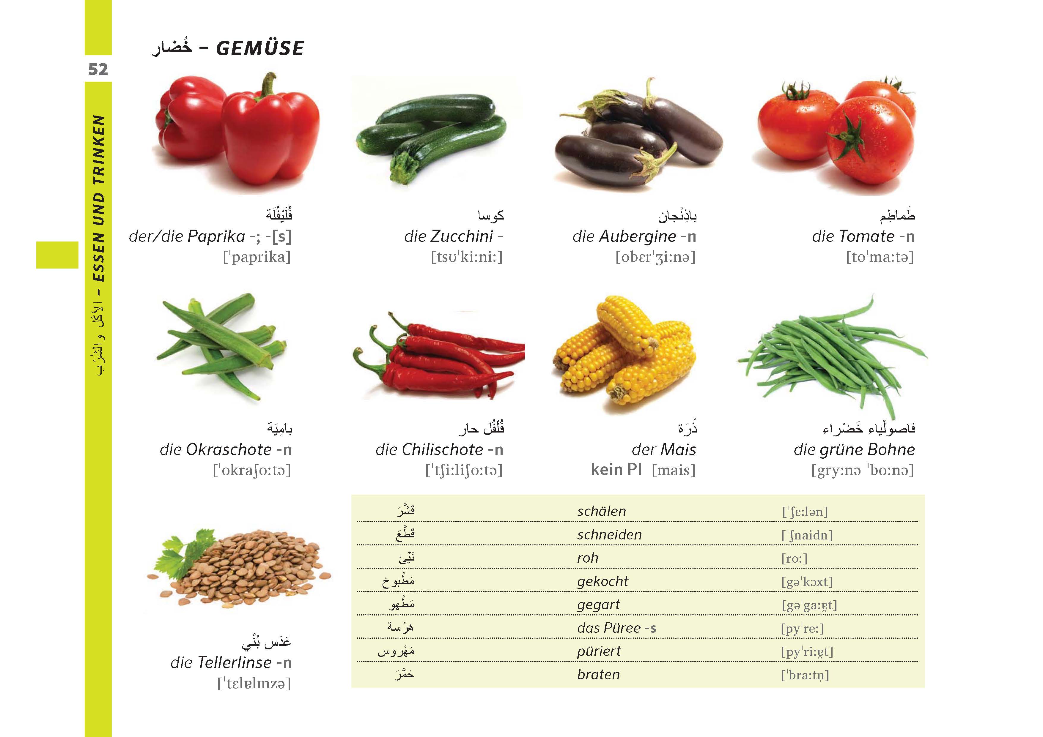 PONS Bildwörterbuch Deutsch (Ausgangssprache Arabisch) PONS Bildwörterbuch Deutsch (Ausgangssprache Arabisch)