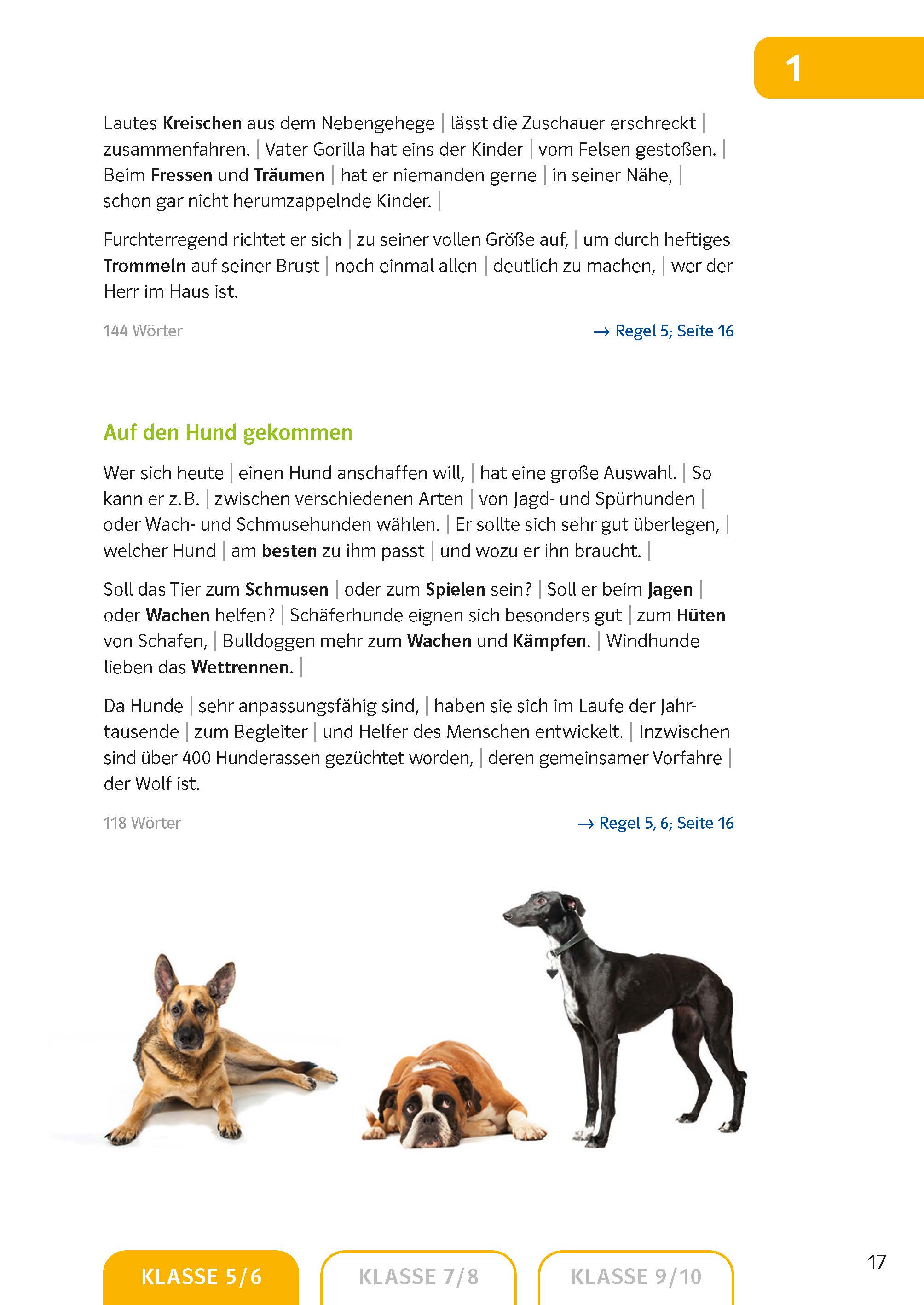 Klett Sicher in Deutsch Diktate 5.-10. Klasse