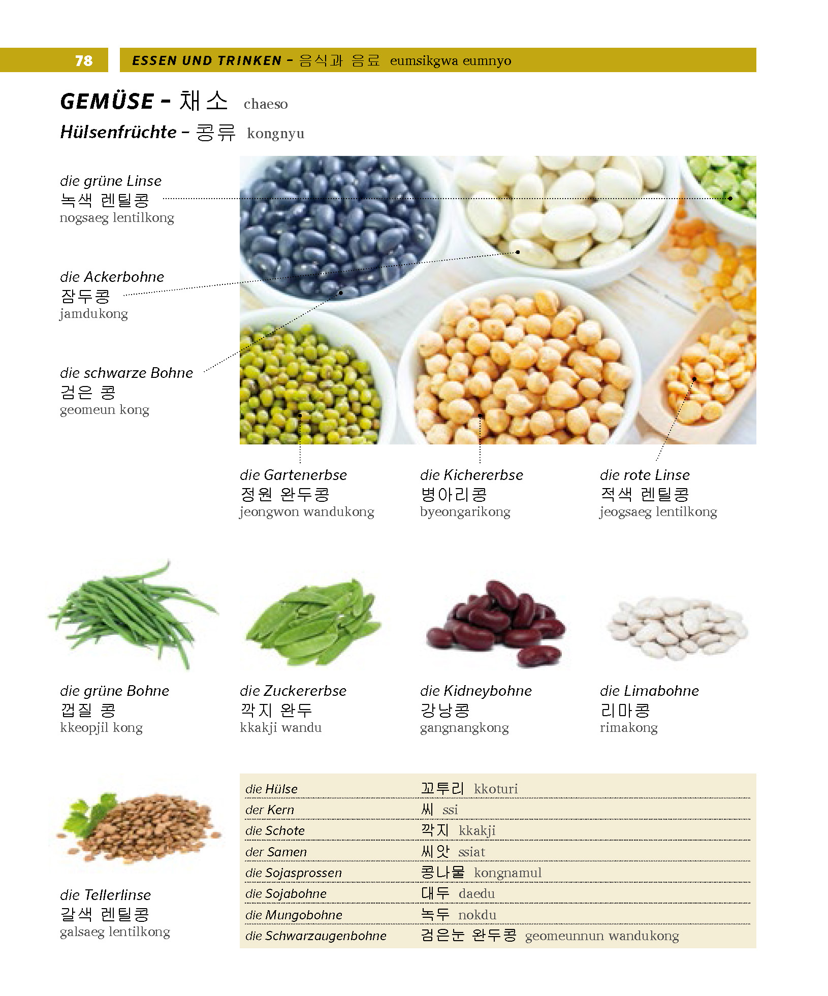 PONS Bildwörterbuch Koreanisch